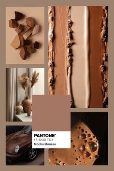 pantone's brown and tan tones are featured in this collage