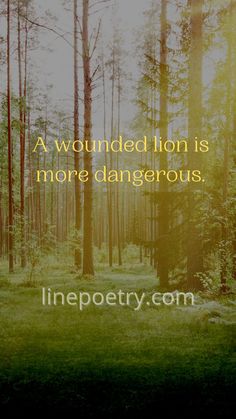 a forest with trees and the words, a wounded lion is more dangerous than life