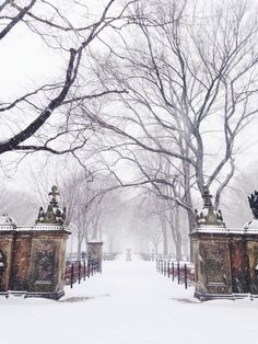 the instagram page for instagram com features an image of a snowy park and trees