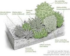 an image of a garden with plants labeled in the text below it and other details