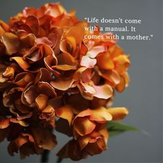 an orange flower with a quote on it