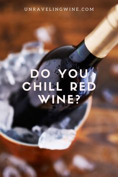 Learn the basics of wine serving temperature. Champagne On Ice, Merlot Wine, Dry Red Wine, Serving Wine, Interesting Food