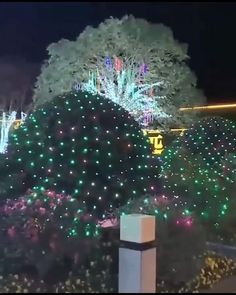 christmas lights on trees and bushes in front of a building