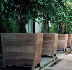 a row of wooden planters sitting on the side of a road next to trees