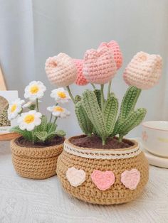 two crocheted pots with flowers in them