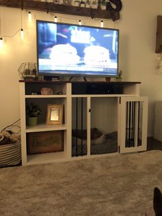 a cat watching television in the living room