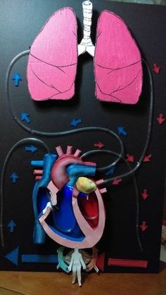 an art project made out of paper and cardboard with a human heart on it's chest