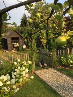 an outdoor garden with flowers, trees and a shed in the backround area