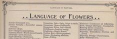 the language of flowers is shown in an old book