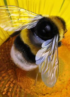 a close up of a bee on a yellow flower with its wings spread out and it's eyes closed