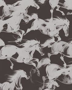 black and white photograph of horses in motion