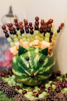 a cat made out of watermelon and grapes