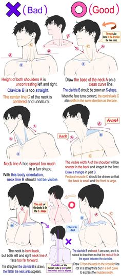 an info sheet describing how to use the correct way for men's haircuts