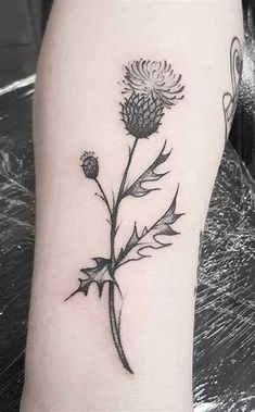 a black and white photo of a thistle flower on the left leg, with leaves