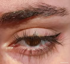 Feline Eyes Natural, Facial Features Reference, Eye Aesthetic, Eyes Reference, Sharp Eyes, Attractive Eyes, Long Eyelashes, Photos Of Eyes