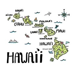 an illustrated map of hawaii with all the major cities and their names in black ink