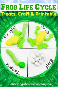 frog life cycle craft for kids to make