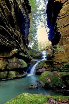 a river running through a lush green forest filled with lots of rocks and greenery