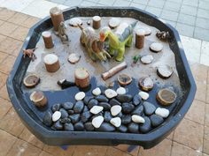 a bird is sitting on top of a table filled with rocks