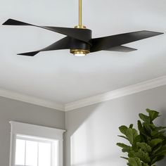 a ceiling fan that is hanging from the ceiling in a room with white walls and a potted plant