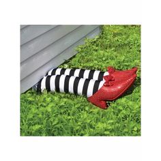 a pair of red and black shoes laying on the grass next to a house with striped socks