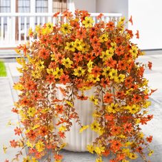 a potted plant with orange and yellow flowers on the ground outside in front of a house