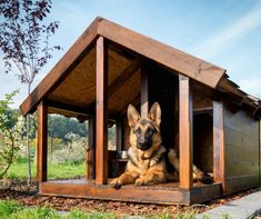 a german shepherd dog sitting in his kennel with the words best insulated dog house for cold weather 5 of the best