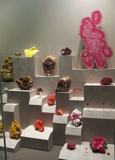 Rock Collection Display, Rock Museum, Rock Display, Crystal Display, Geology Rocks, Rock Minerals, Collection Display