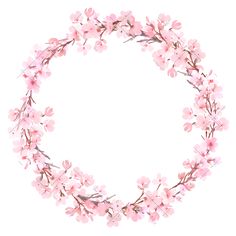 pink flowers arranged in the shape of a circle