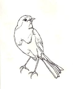 a black and white drawing of a small bird