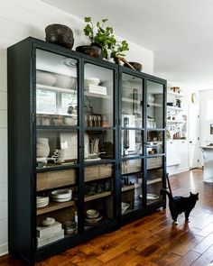 a black cat is walking in front of a glass cabinet