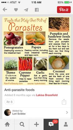 Healthy eating Herbal Remedies Recipes, Parasite Cleanse, Medical Herbs, Cleanse Diet, The Whoot, Natural Healing Remedies, Home Health Remedies, Herbs For Health, Crochet And Knitting