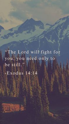 "The Lord will fight for you; you need only to be still." - Exodus 14:14 Exodus 14:14 Bible, Exodus 14:14, Biblical Quotes Inspirational, Bible Verse Background, Bible Quotes Wallpaper, Ayat Alkitab, Have Inspiration, Scripture Study