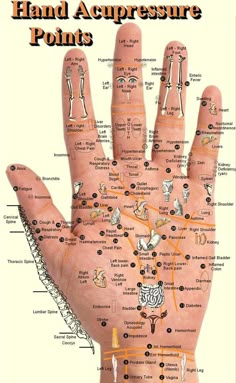 Bolesti Chrbta, Hand Reflexology, Reflexology Chart, Reflexology Massage, Foot Reflexology, Acupressure Points, Trening Abs, Massage Techniques, Pressure Points