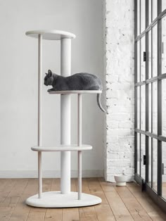 a cat sitting on top of a scratching post in the middle of a living room