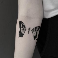 two black and white butterflies on the arm