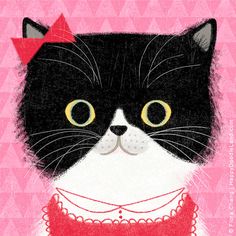 a black and white cat with a red bow on its head wearing a pink dress