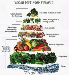 Paleo Food Pyramid, Vegan Food Pyramid, Vegan Diet Recipes, Coconut Health Benefits, Food Medicine, Low Carb Diets, Food Pyramid, Vegan Nutrition, Plant Based Nutrition