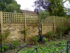 a small tree in a pot next to a brick wall with trellis on it