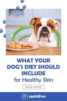 a dog sitting in front of a plate of food with the words what your dog's diet should include for healthy skin