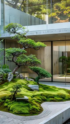 a bonsai tree in front of a building with green moss growing on the ground