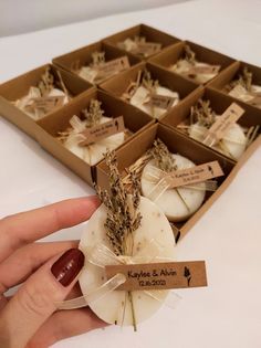 a hand holding a piece of soap in front of several boxes filled with lavender and aloe