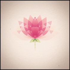 a pink lotus flower on a white background with geometric shapes in the center and bottom corner