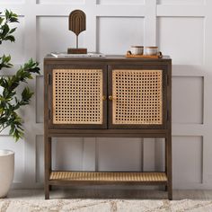 a wooden cabinet sitting next to a potted plant on top of a white rug