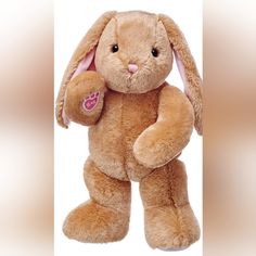 a brown stuffed animal with a pink heart on it's chest and ears, standing upright