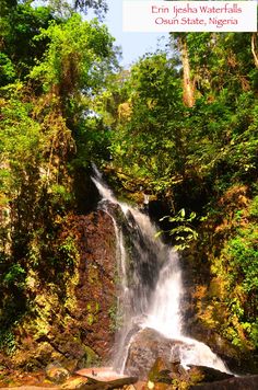 a large waterfall in the middle of a forest