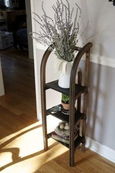 a plant is sitting on a shelf next to a wall in a room with hard wood flooring