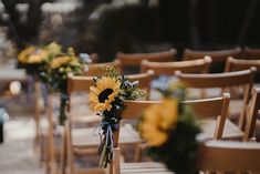 rows of wooden chairs with sunflowers tied to them