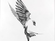 a drawing of a bird flying in the sky