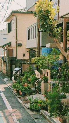 an alleyway with lots of potted plants on the side and buildings in the background